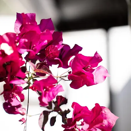 게스트하우스 Casa Scala