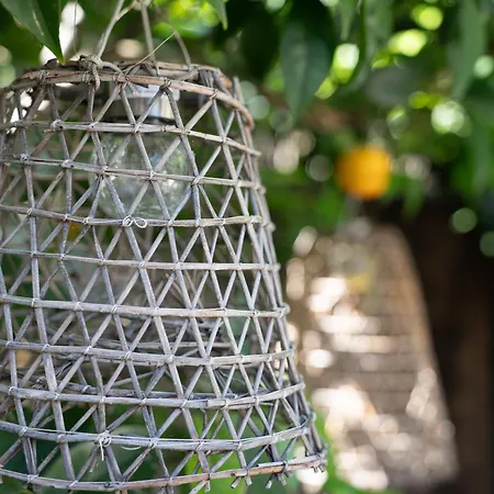 Casa Scala 招待所 3*