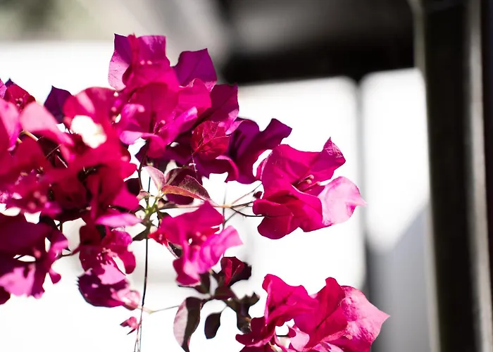 Affittacamere Casa Scala