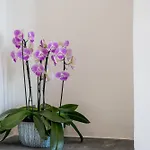 Casa Scala 4*